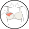 A nursing bra