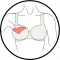 A nursing bra