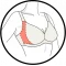 An adjusting side part